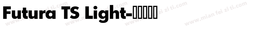Futura TS Light字体转换
